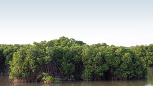 산림과 수산분야가 협력하는 첫 융합 공적개발원조(ODA) 사업 시작