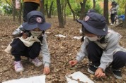 황금유치원, 숲에서 맘껏 놀며 생태체험!