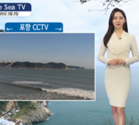 오늘의 바다 날씨, 씨씨티비(See Sea TV)로 확인하세요!