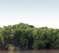 산림과 수산분야가 협력하는 첫 융합 공적개발원조(ODA) 사업 시작
